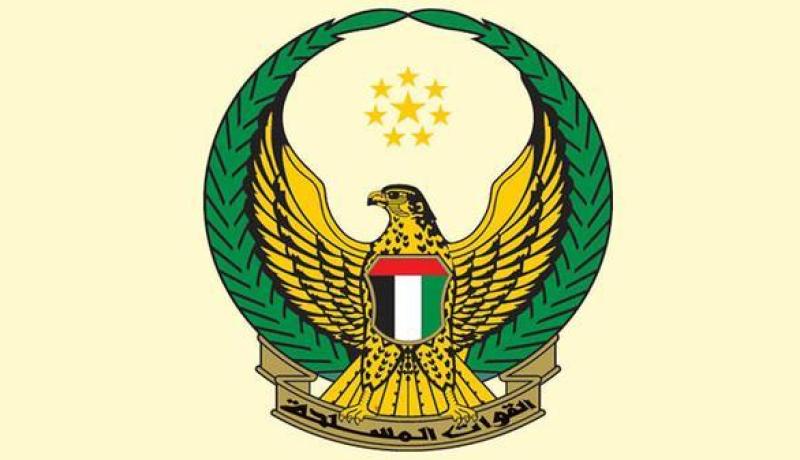 45 قتيلا إماراتيا في اليمن