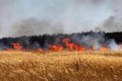 حريق يتلف قرابة 18 هكتار من القمح الصلب و200 حزمة تبن في تيسمسيلت