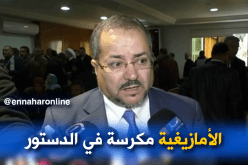 مناصرة : نحن ضد إستغلال ملف اللّغة الأمازيغية لضرب إستقرار الوطن