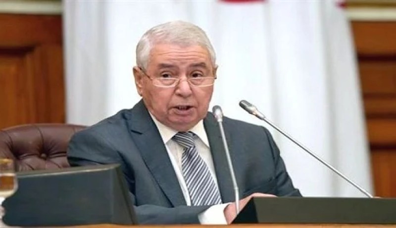 السيد بن صالح يستقبل رئيسة المجلس الوطني الصربي