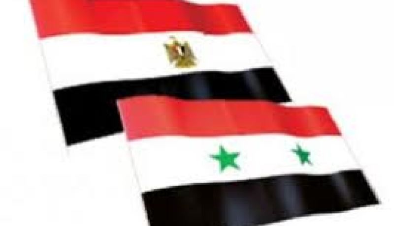 مصر تجدد رفضها للتدخل الاجنبي في الازمة السورية