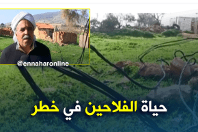 عين تموشنت: كوابل كهربائية عشوائية تهدد حياة الفلاحين والنشاط الفلاحي