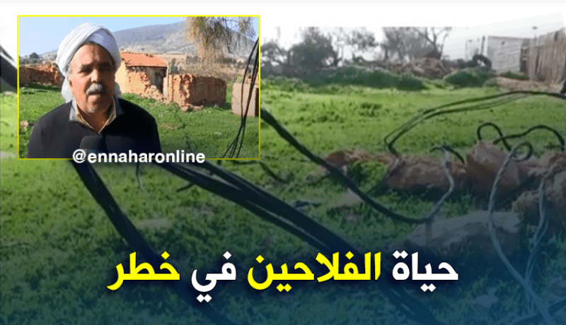عين تموشنت: كوابل كهربائية عشوائية تهدد حياة الفلاحين والنشاط الفلاحي