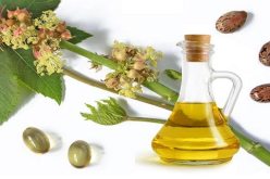 زيت الخروع يعالج آلام المفاصل وحب الشباب