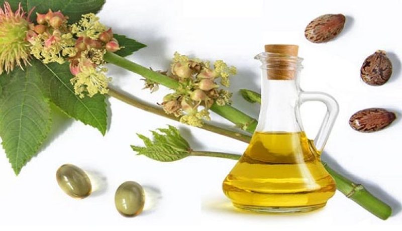 زيت الخروع يعالج آلام المفاصل وحب الشباب