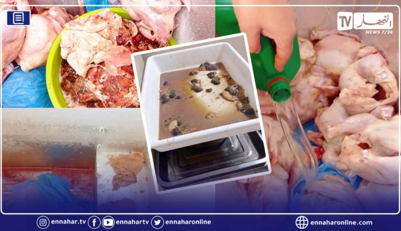سيدي بلعباس: حجز كمية معتبرة من لحوم وأحشاء دجاج فاسدة