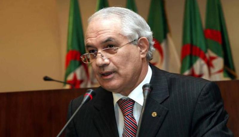 بلعيز يؤكد أن الجريمة المنظمة العابرة للأوطان تحد كبير يواجه البلدان العربية