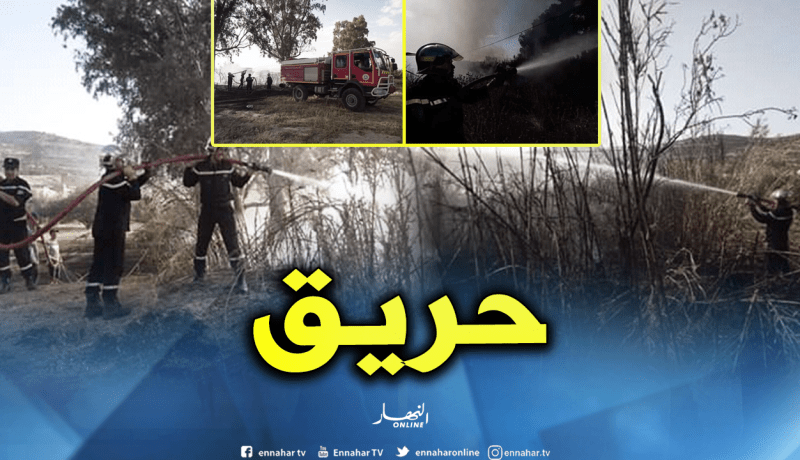إخماد حريق أتى على 4 هكتارات من الشعير والقمح بالبرج