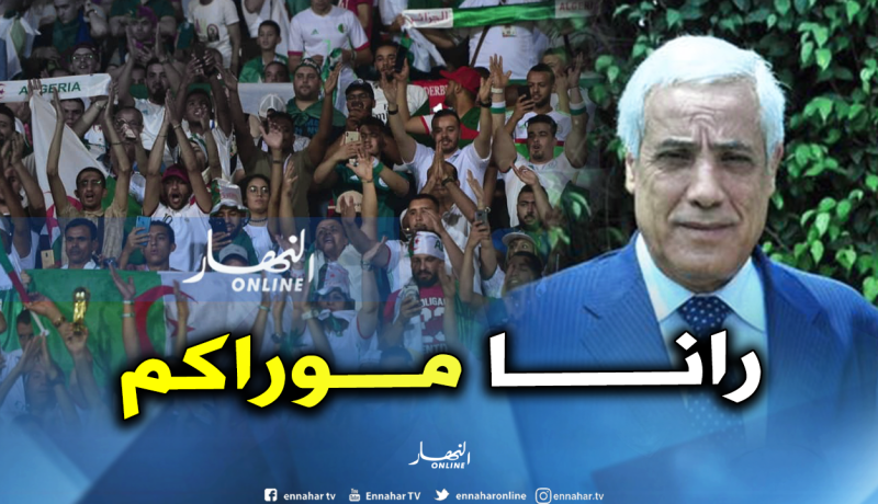 سفير الجزائر بمصر: “أنصار الخضر يقدمون صورة مشرفة وسنسهر على راحتهم”