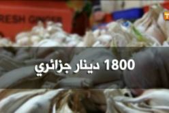 فيديو.. عندما يصبح الثوم أغلى من اللّحم