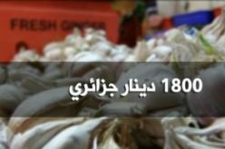 بالفيديو سعر الثوم لا يتجاوز 70 دج عند الفلاح