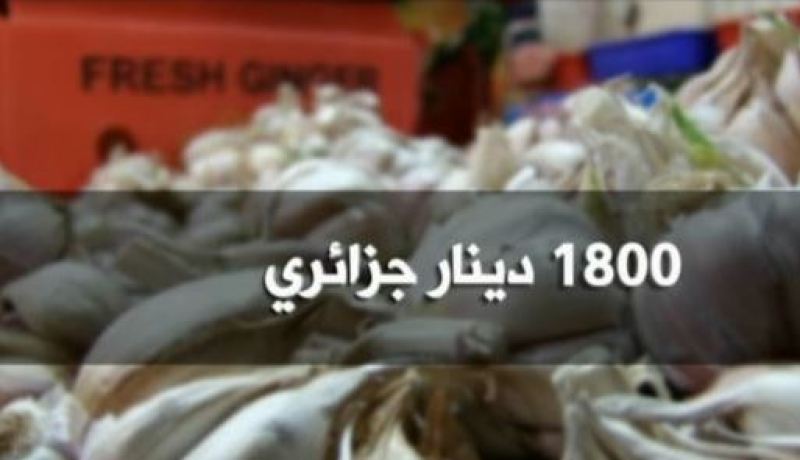 بالفيديو سعر الثوم لا يتجاوز 70 دج عند الفلاح