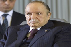 بوتفليقة يجدد إستعداده للعمل على توثيق علاقات الصداقة والتعاون مع بولونيا