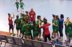 اليد الجزائرية تحقق أول فوز في البطولة الإفريقية بالكونغو