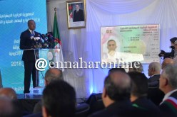 بدوي: إطلاق البطاقة الرمادية الإلكترونية شهر سبتمبر المقبل