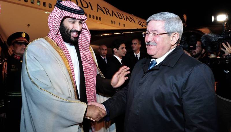 إنشاء مجلس أعلى للتنسيق “الجزائري _ السعودي”