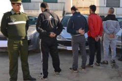 الدرك يوقف لصوص المواشي بولايات الوسط