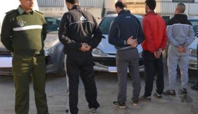 الدرك يوقف لصوص المواشي بولايات الوسط