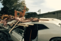 سائق مجنون يحاول السفر بسيارته عبر الزمن.. فحدثت الكارثة