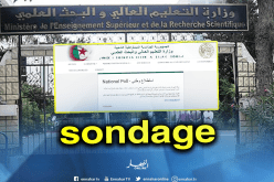 وزارة التعليم العالي تباشر في عملية سبر الآراء الخاصة بتعميم اللغة الإنجليزية في الوسط الجامعي