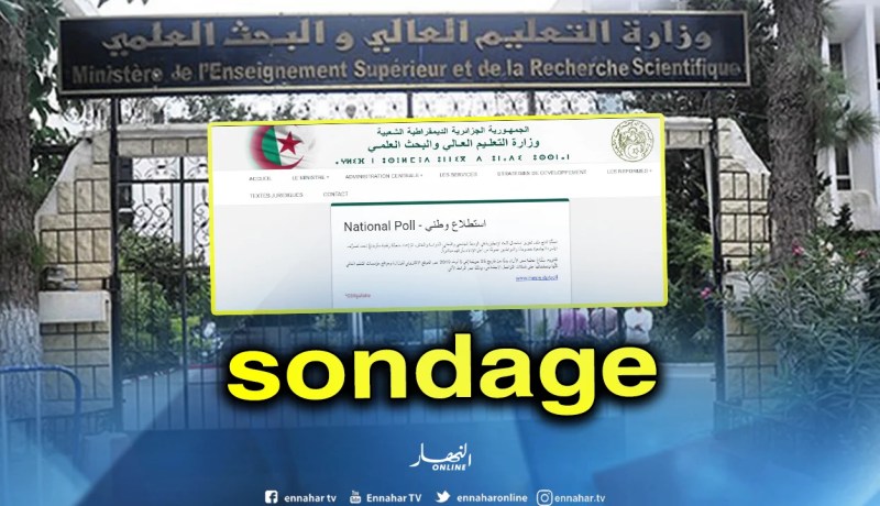 وزارة التعليم العالي تباشر في عملية سبر الآراء الخاصة بتعميم اللغة الإنجليزية في الوسط الجامعي