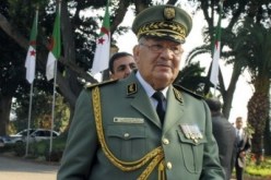 الفريق قايد صالح يشرف على تخرج ثلاث دفعات من الضباط بالأكاديمية العسكرية لشرشال