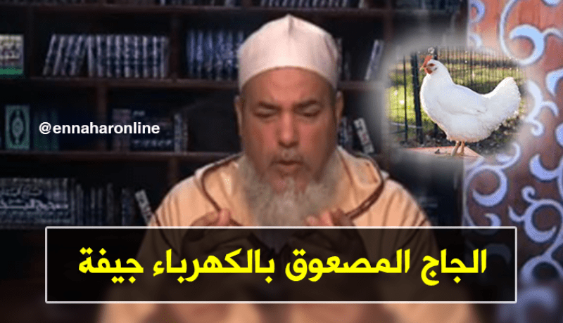 الشيخ شمس الدين: لا يجوز أكل الدجاج المصعوق بالكهرباء