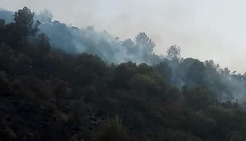 بجاية: نشوب حريق بغابة بلدية أميزور دون تسجيل خسائر كبيرة