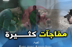 بالفيديو.. سولكينغ يشعل اليوتيوب بـ”كليب” جديد صوره في الجزائر