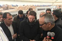 توزيع 700 سكن ترقوي مدعم بقسنطينة نهاية جانفي 2019