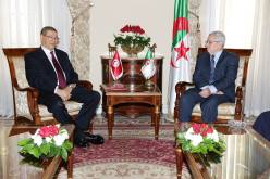 مشاورات بين الجزائر وتونس تحضيرا للقمة العربية مارس المقبل