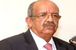 مساهل في زيارة عمل الى الدوحة