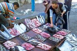 وزارة الصيد البحري توقع إنتاج 200 ألف طن سنويا من السمك