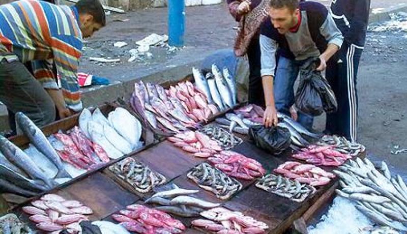 وزارة الصيد البحري توقع إنتاج 200 ألف طن سنويا من السمك