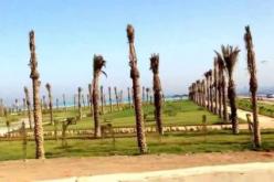 إعطاء إشارة الانطلاق الرسمي لموسم الاصطياف بولاية الجزائر من شاطئ الصابلات