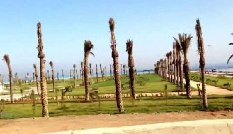 إعطاء إشارة الانطلاق الرسمي لموسم الاصطياف بولاية الجزائر من شاطئ الصابلات