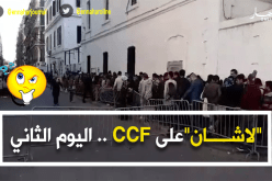 بالفيديو.. طوابير أمام “CCF” لليوم الثاني على التوالي