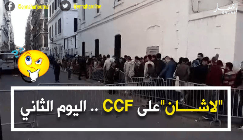 بالفيديو.. طوابير أمام “CCF” لليوم الثاني على التوالي