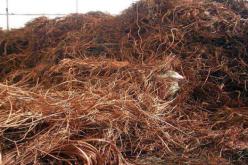 احباط محاولة تهريب 3 طن من النفايات النحاسية نحو المغرب