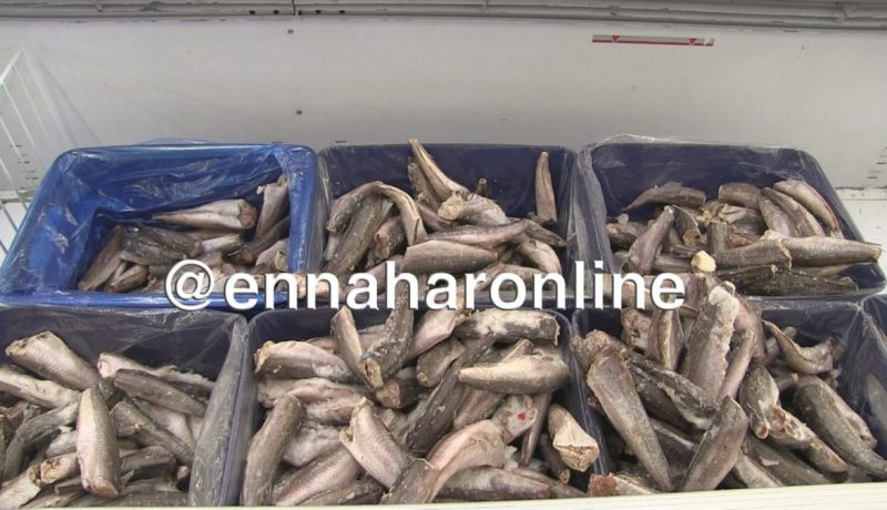 الوادي: حجز أزيد من 3 قناطير سمك غير صالح للإستهلاك 