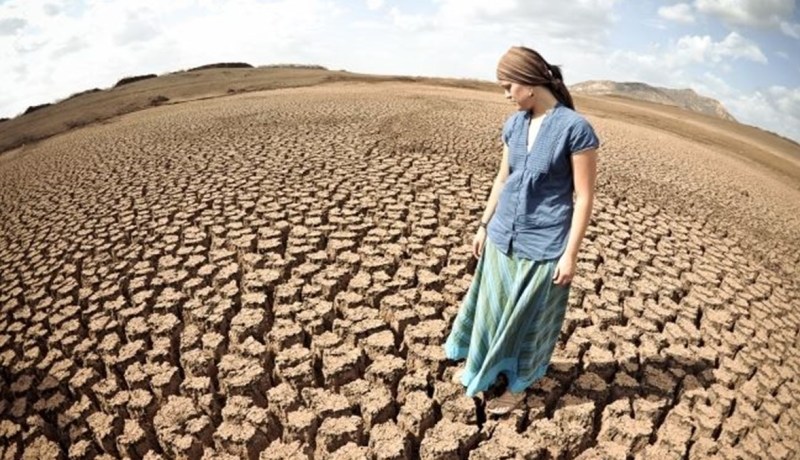 مكافحة التصحر والجفاف.. الجزائر تحتفل باليوم العالمي للظاهرتين