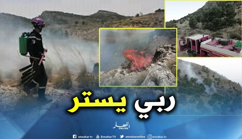 بالصور..إخماد حريق غابة بتبسة