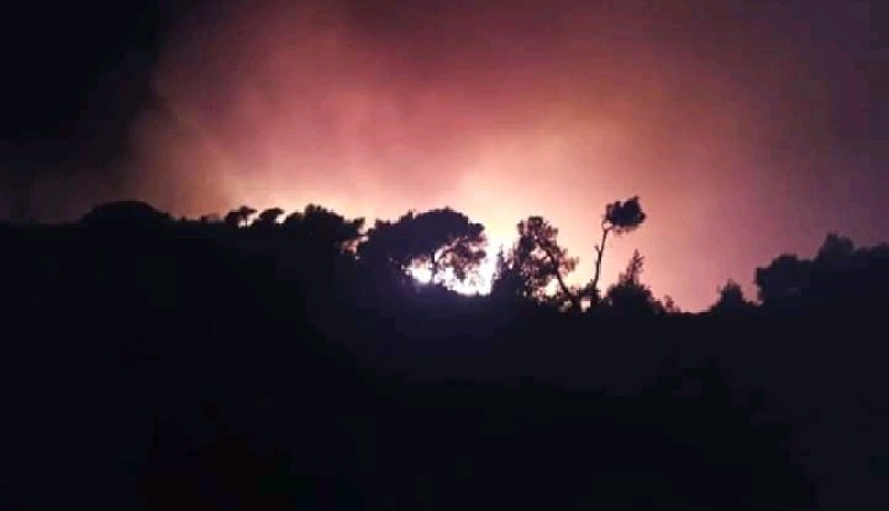 الشلف: إندلاع حريق مهول بغابة بني درجين بالزبوجة