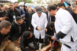 بالصور… والي بومرداس يشارك في ذبح عجل وتوزيعه على الفقراء بمناسبة يناير