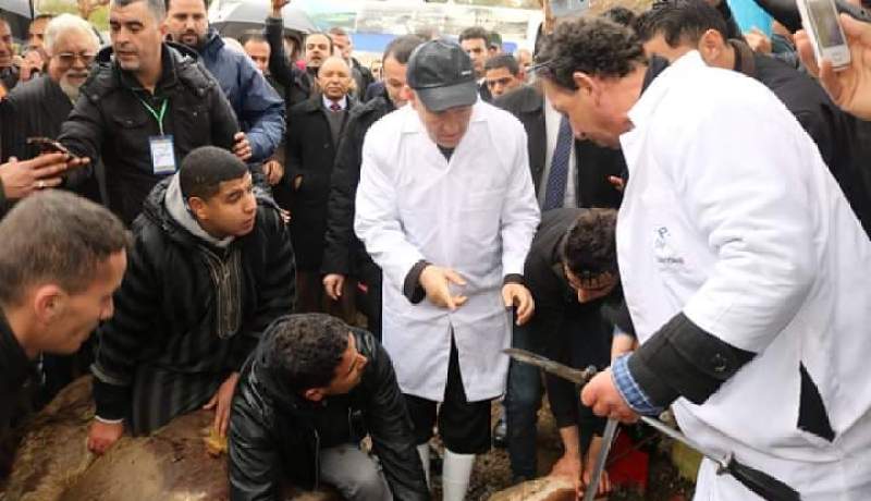 بالصور… والي بومرداس يشارك في ذبح عجل وتوزيعه على الفقراء بمناسبة يناير
