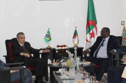 بالصور.. بن مسعود والسفير البرازيلي يستعرضان سبل التعاون بين البلدين