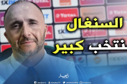 بلماضي: “خسارة النهائي أمر وارد”