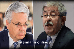 أويحيى يستقبل نائب الوزير الأول وزير الشؤون الخارجية البلجيكي