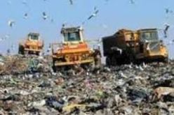 مؤسسة اكسترانيت تجمع أكثر من 2000 طن من النفايات يوميا