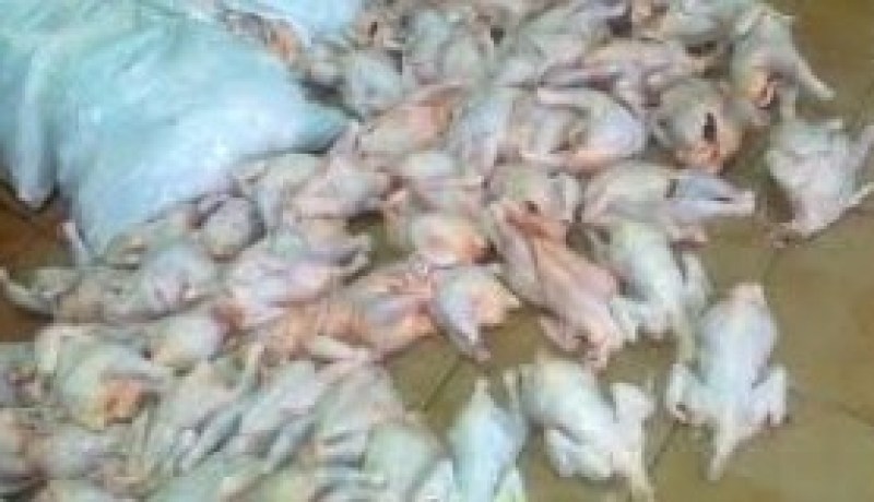 حجز 12 قنطارا من اللحوم البيضاء غير صالحة للاستهلاك كانت موجهة للبيع في سطيف